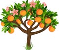 Peach tree with ripe fruits, green leaves and flowers Royalty Free Stock Photo